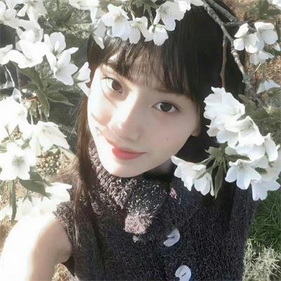 酒绿花红