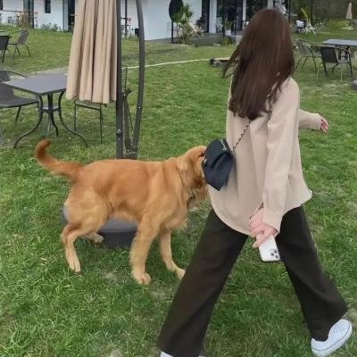 皇带鱼