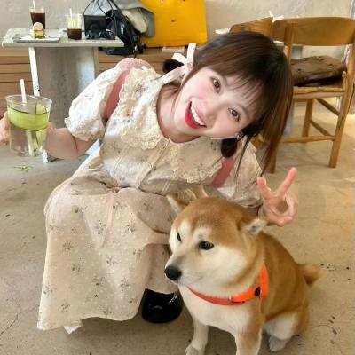 维也纳之舞